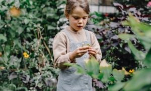 A child in a garden