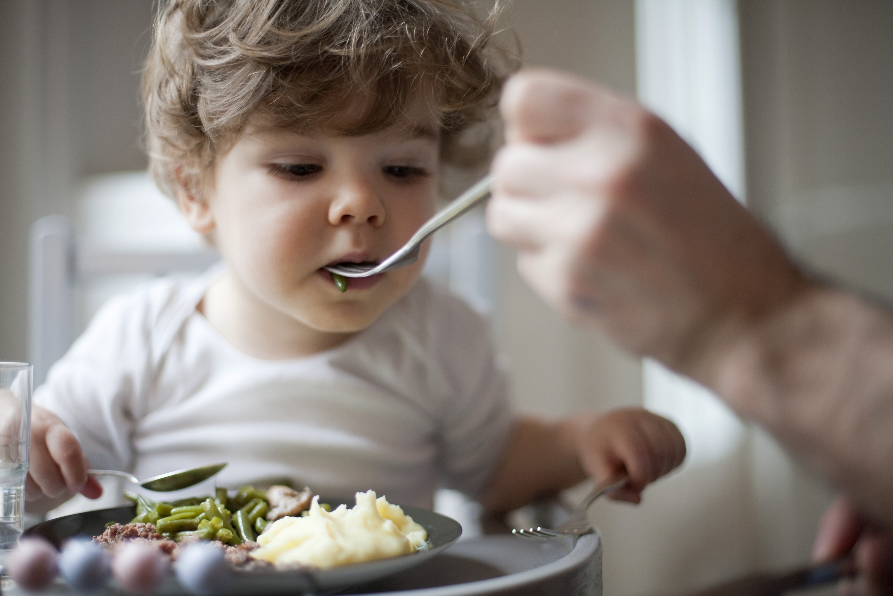 easy-toddler-meals-newfolks