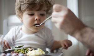 Toddler boy being fed green beans