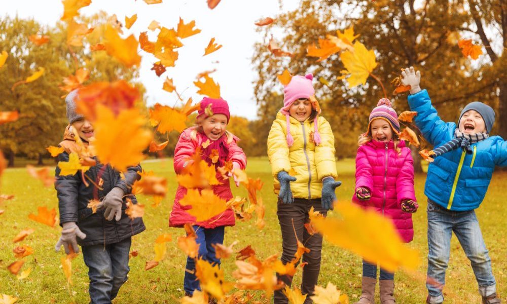 leaf art for kids playing with leaves d7b744