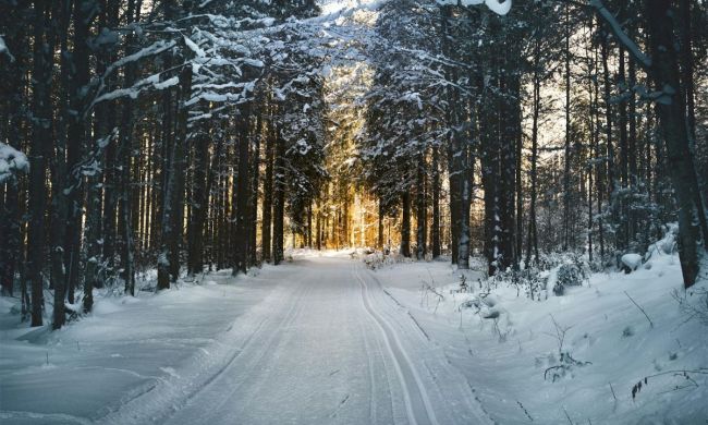 Snow-covered winter hiking trail